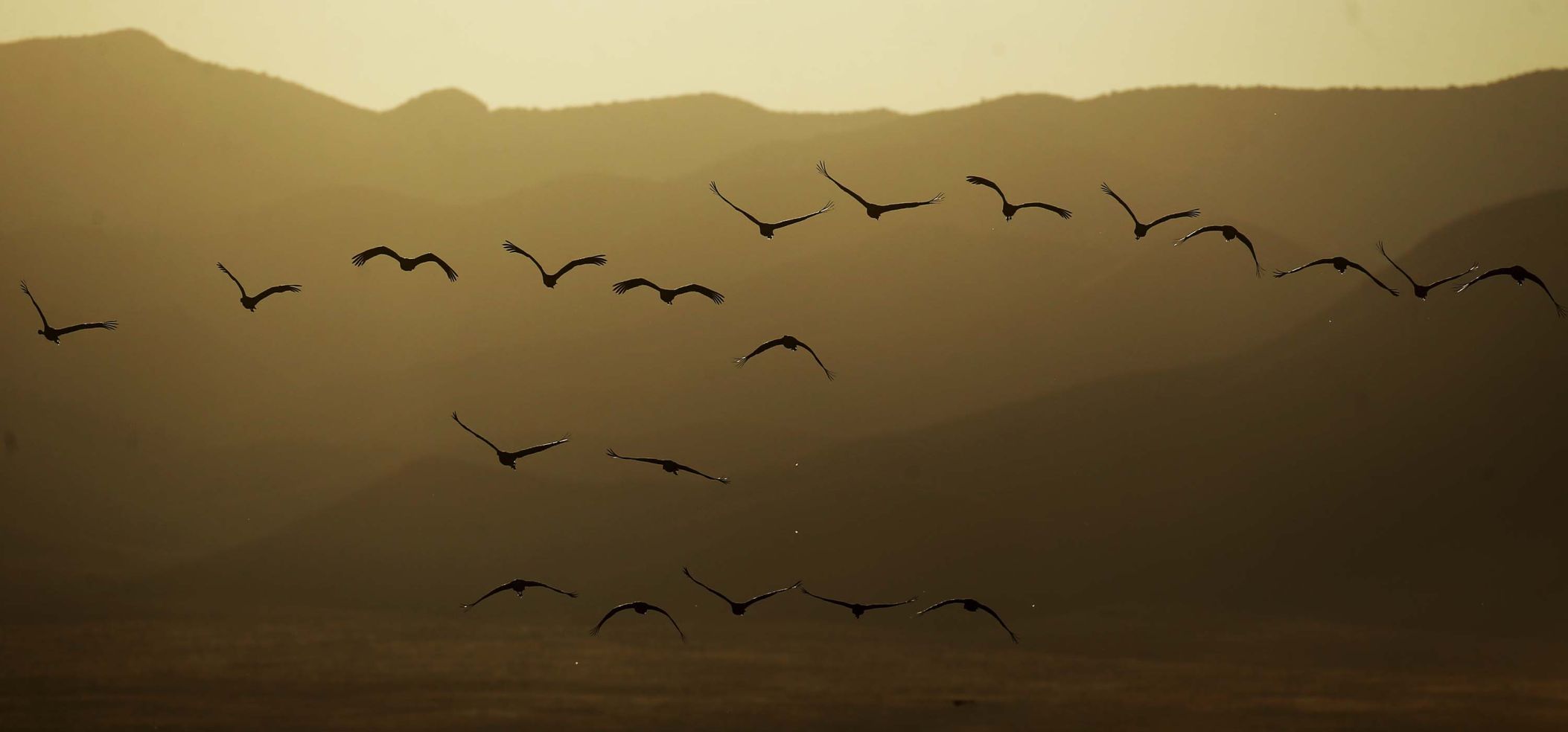 2018 Wings over Willcox